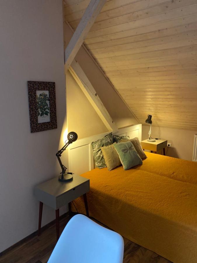 Apartmany Rudik Železná Ruda Exterior foto